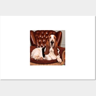 Lazy day Basset Hound Posters and Art